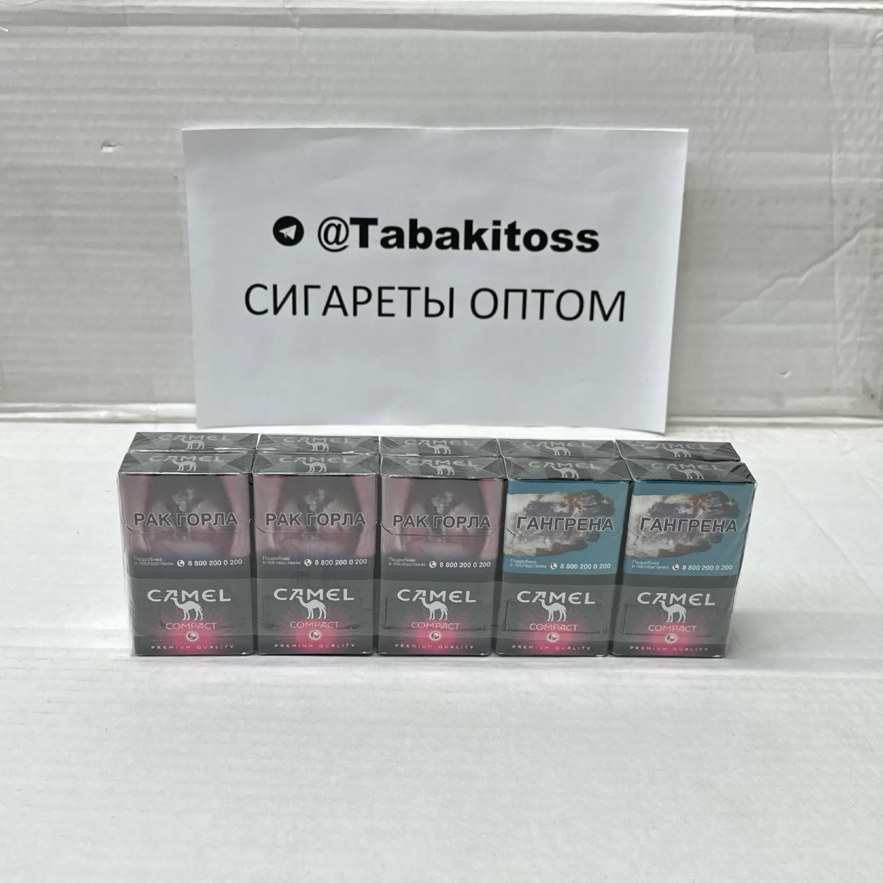 Camel QS Ruby(Черника,Кнопка)Акциз